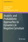 Image for Analytic and Probabilistic Approaches to Dynamics in Negative Curvature