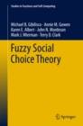 Image for Fuzzy social choice theory