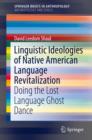 Image for Linguistic ideologies of Native American language revitalization: doing the lost language ghost dance