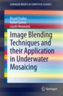 Image for Image Blending Techniques and their Application in Underwater Mosaicing