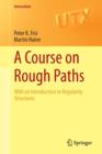 Image for A Course on Rough Paths