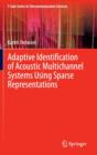 Image for Adaptive Identification of Acoustic Multichannel Systems Using Sparse Representations
