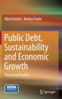 Image for Public Debt, Sustainability and Economic Growth