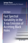 Image for Fast Spectral Variability in the X-ray Emission of Accreting Black Holes