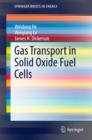 Image for Gas Transport in Solid Oxide Fuel Cells