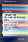 Image for Transport and Fluctuations in Granular Fluids : From Boltzmann Equation to Hydrodynamics, Diffusion and Motor Effects