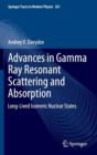 Image for Advances in Gamma Ray Resonant Scattering and Absorption : Long-Lived Isomeric Nuclear States