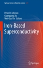 Image for Iron-based superconductivity