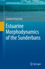 Image for Estuarine Morphodynamics of the Sunderbans : 11