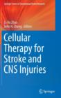 Image for Cellular Therapy for Stroke and CNS Injuries