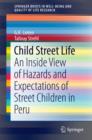 Image for Child Street Life: An Inside View of Hazards and Expectations of Street Children in Peru