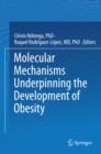 Image for Molecular Mechanisms Underpinning the Development of Obesity
