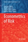 Image for Econometrics of risk