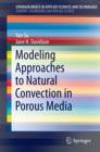 Image for Modeling Approaches to Natural Convection in Porous Media