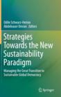Image for Strategies Towards the New Sustainability Paradigm