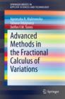 Image for Advanced methods in the fractional calculus of variations