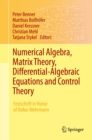 Image for Numerical Algebra, Matrix Theory, Differential-Algebraic Equations and Control Theory: Festschrift in Honor of Volker Mehrmann