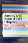 Image for Assessing Social Impact of Social Enterprises: Does One Size Really Fit All?