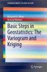 Image for Basic Steps in Geostatistics: The Variogram and Kriging