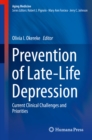 Image for Prevention of Late-Life Depression: Current Clinical Challenges and Priorities