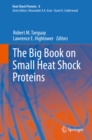 Image for Big Book on Small Heat Shock Proteins