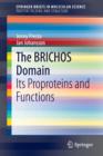 Image for The BRICHOS domain  : its proproteins and functions