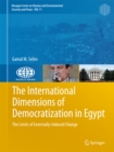 Image for International Dimensions of Democratization in Egypt: The Limits of Externally-Induced Change