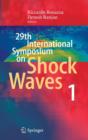 Image for 29th International Symposium  on Shock Waves 1