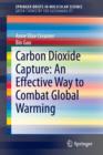Image for Carbon dioxide capture  : an effective way to combat global warming