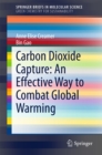 Image for Carbon Dioxide Capture: An Effective Way to Combat Global Warming