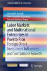 Image for Labor Markets and Multinational Enterprises in Puerto Rico