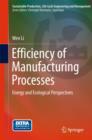Image for Efficiency of Manufacturing Processes : Energy and Ecological Perspectives