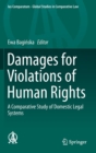 Image for Damages for Violations of Human Rights