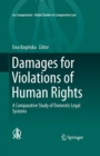 Image for Damages for Violations of Human Rights: A Comparative Study of Domestic Legal Systems : volume 9