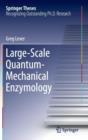 Image for Large-Scale Quantum-Mechanical Enzymology