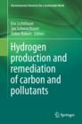 Image for Hydrogen production and remediation of carbon and pollutants