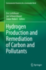 Image for Hydrogen Production and Remediation of Carbon and Pollutants