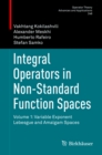 Image for Integral Operators in Non-Standard Function Spaces: Volume 1: Variable Exponent Lebesgue and Amalgam Spaces