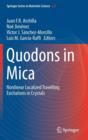 Image for Quodons in Mica