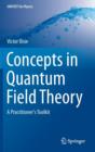 Image for Concepts in quantum field theory  : a practitioner&#39;s toolkit