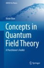 Image for Concepts in quantum field theory: a practitioner&#39;s toolkit