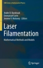 Image for Laser filamentation  : mathematical methods and models