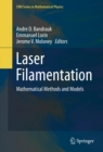 Image for Laser Filamentation: Mathematical Methods and Models