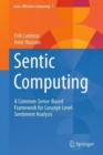 Image for Sentic computing  : a common-sense-based framework for concept-level sentiment analysis