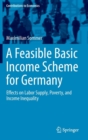 Image for A feasible basic income scheme for Germany  : effects on labor supply, poverty, and income inequality