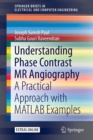 Image for Understanding Phase Contrast MR Angiography