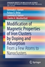 Image for Modification of Magnetic Properties of Iron Clusters by Doping and Adsorption
