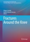 Image for Fractures Around the Knee
