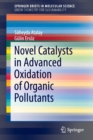 Image for Novel Catalysts in Advanced Oxidation of Organic Pollutants