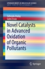 Image for Novel Catalysts in Advanced Oxidation of Organic Pollutants